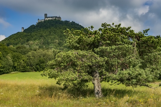 Hrad Bezděz