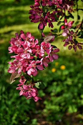 Jílové u Prahy, park 
