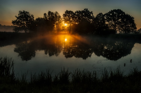Svítání u rybníka