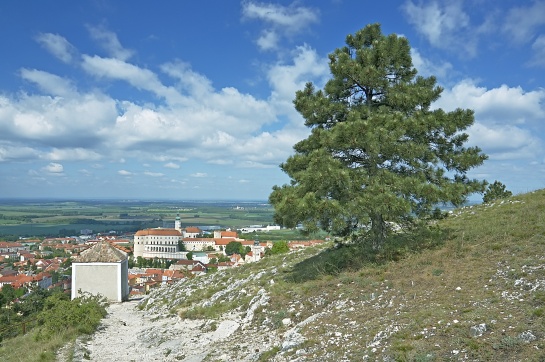 Pohled na město Mikulov