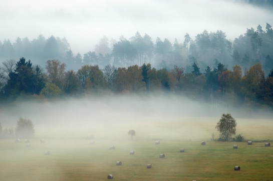 Ranní krajina