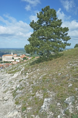 Pohled na město Mikulov