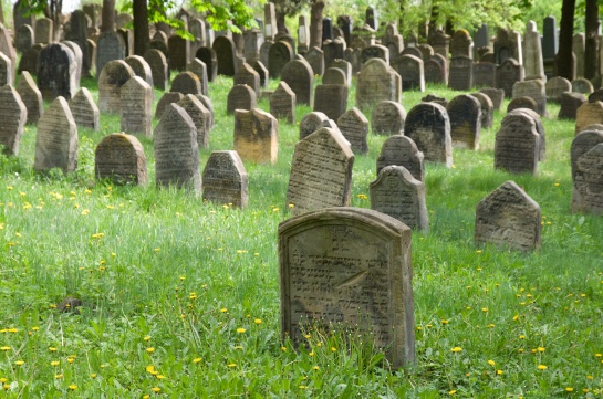 Židovský hřbitov - Libochovice