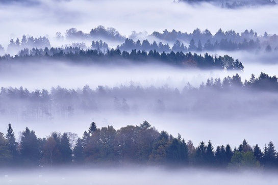 Krajina Českého  Švýcarska