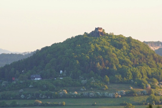 Zřícenina hradu Starý Berštejn Vrchovany