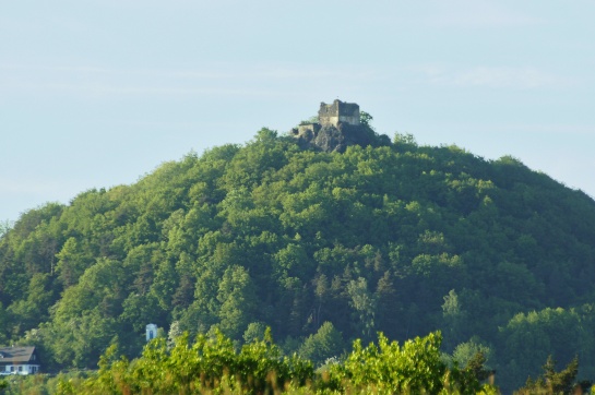Zřícenina hradu Starý Berštejn Vrchovany
