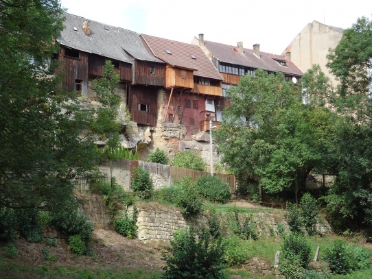 Úštěk ptačí domky