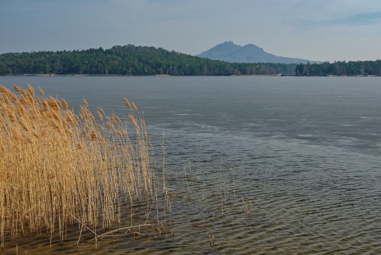 Máchovo jezero