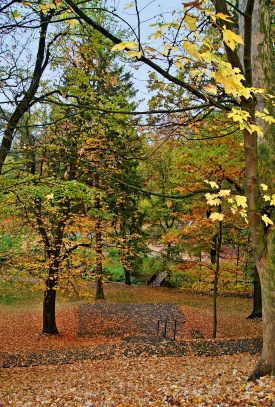Broumov park Alejka