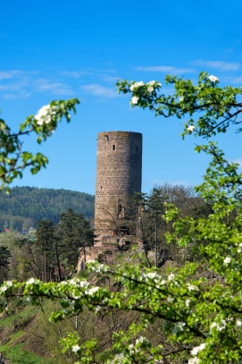 Žebrák