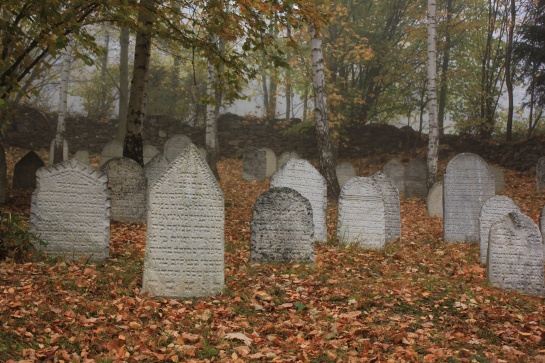 Židovský hřbitov Podmokly