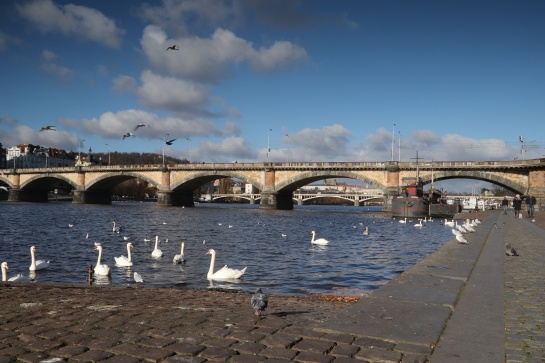 Vltava