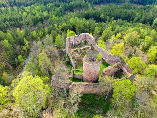 Valdek
