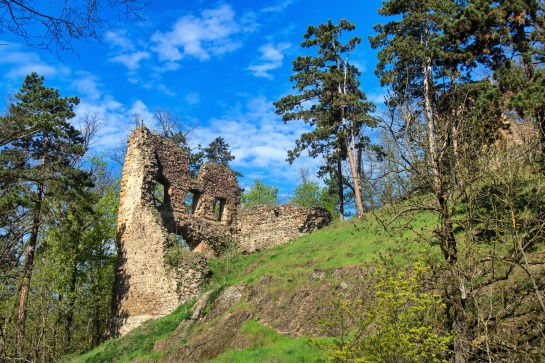 Žebrák