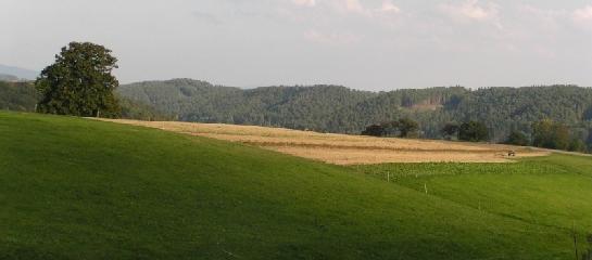krajina v Podještědí