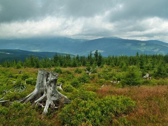 Krkonošská krajina