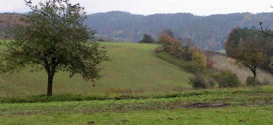krajina v Březové