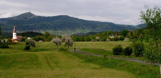 Osečná