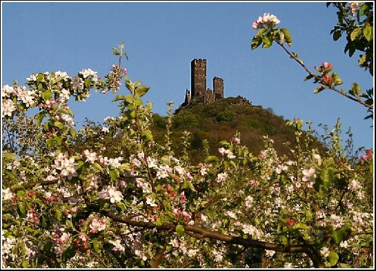 Házmburk nad jabloňovým sadem.