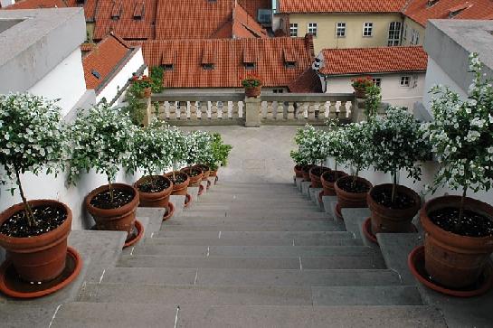 Ledeburská zahrada, Praha, vnitřní pohle