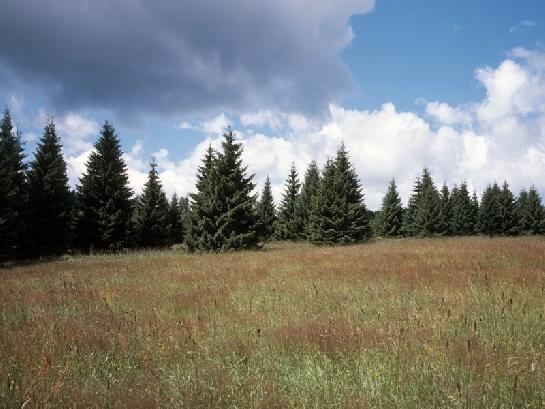 Šumavská krajina