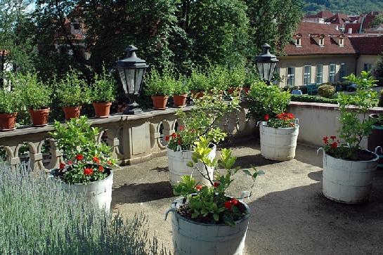 Malá Fürstenberská zahrada  s květinami