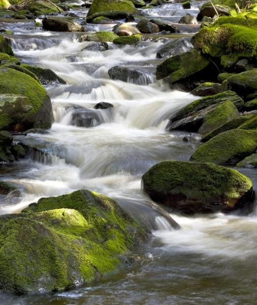 Hamerský potok u Antýglu