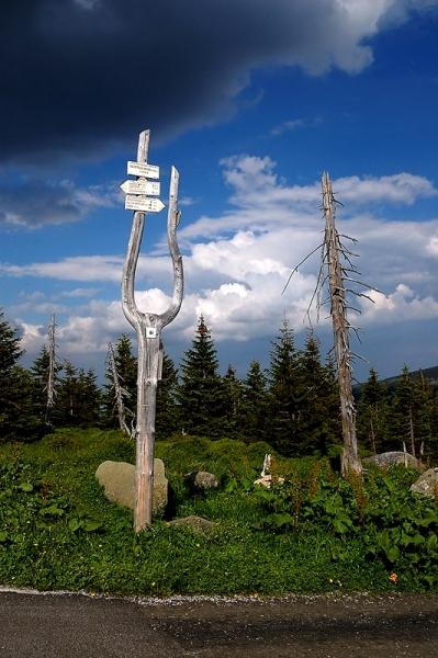 Sněžka 11,5km