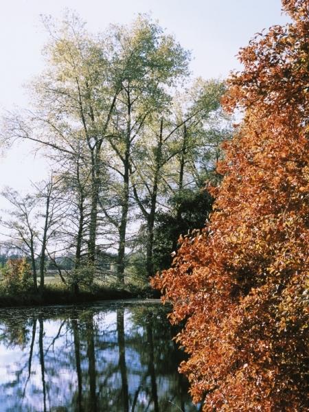 Řeka Orlice na podzim