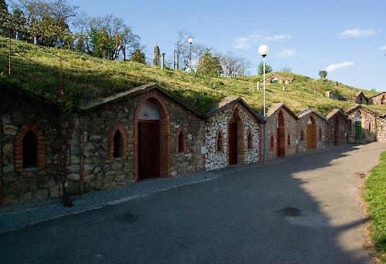 Vinné sklípky