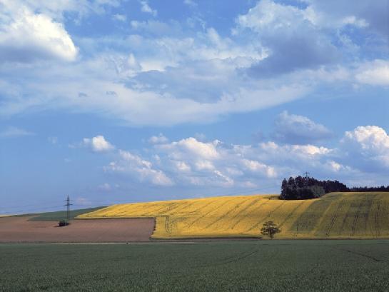 Jaroměřicko