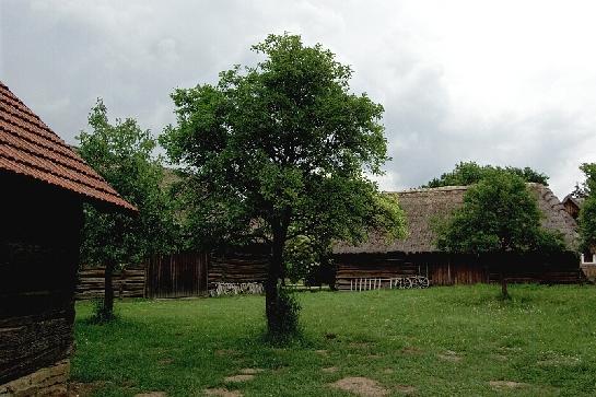 Ve skanzenu