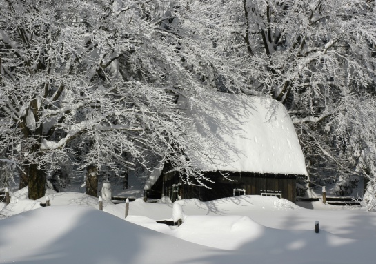 Zimní idylka
