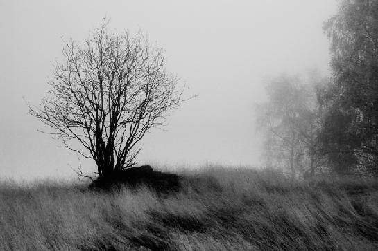 ranní mlha ve Smržovce