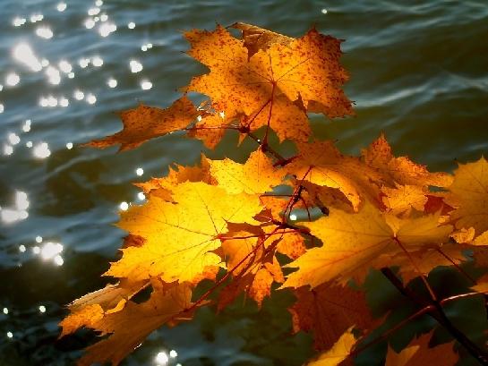 Podzim nad vodou
