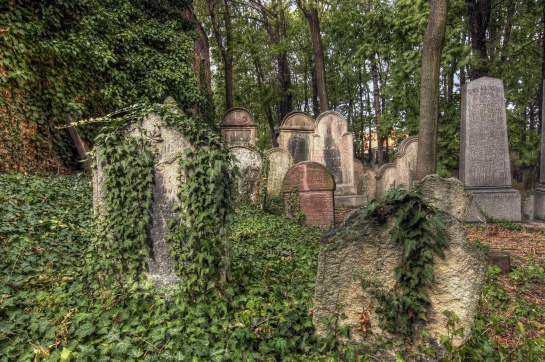 Starý židovský hřbitov v Kolíně