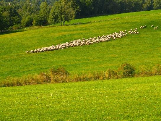 Vysočina