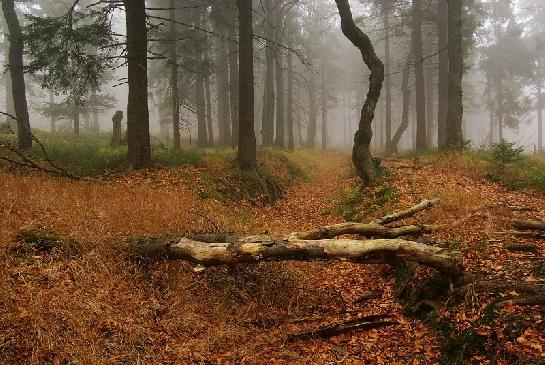 Sleepy Hollow