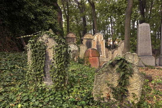 starý židovský hřbitov v Kolíně