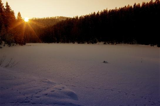 Zima na jezeře Laka