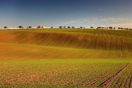 Pole se smajlíkem :)