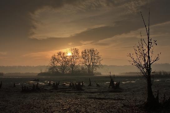 Svítání nad Kotvicí