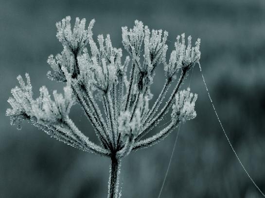 chvilková záležitost