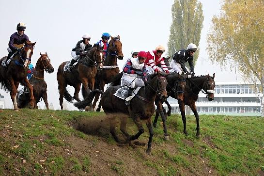 Pardubická zahrada