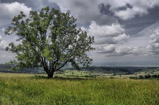Krajina pod Bílými Karpatami