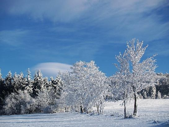 Zimní krajina pod Štěpánkou
