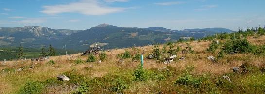 Panorama Krkonoš