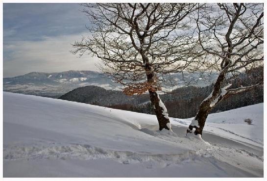 Krajina