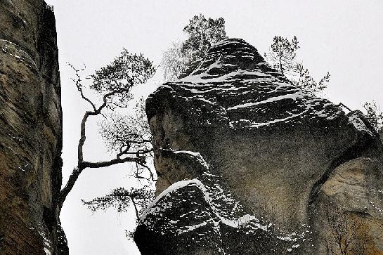 Zima v Adršpašských skalách