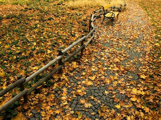 Cesta pod listím